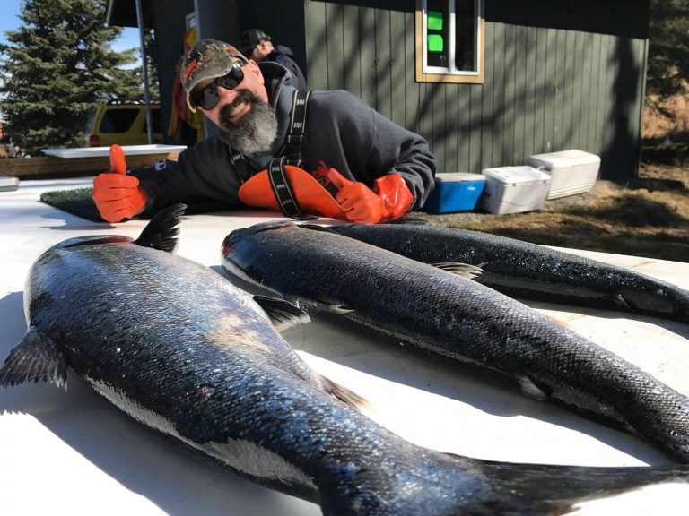 Ninilchik Halibut Charters | 2019 Fishing Specials | Ninilchik Charters