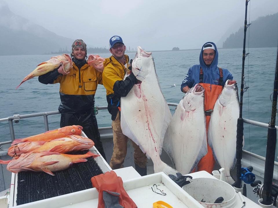 Alaska Fishing Charters Alaska Halibut Fishing Kenai Peninsula