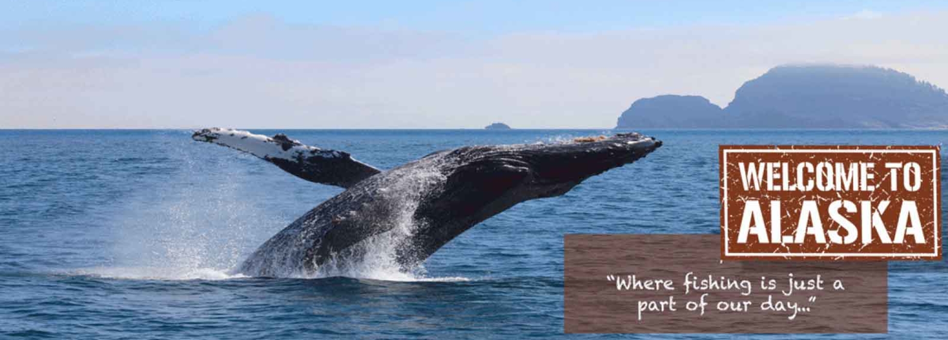 Alaska Fishing Charters Alaska Halibut Fishing Kenai Peninsula