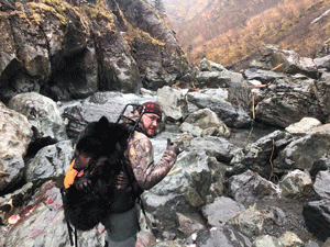 Hunting Alaska Black Bears- Tips For All Hunters