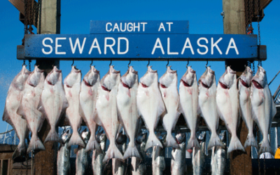 Visit Seward Alaska
